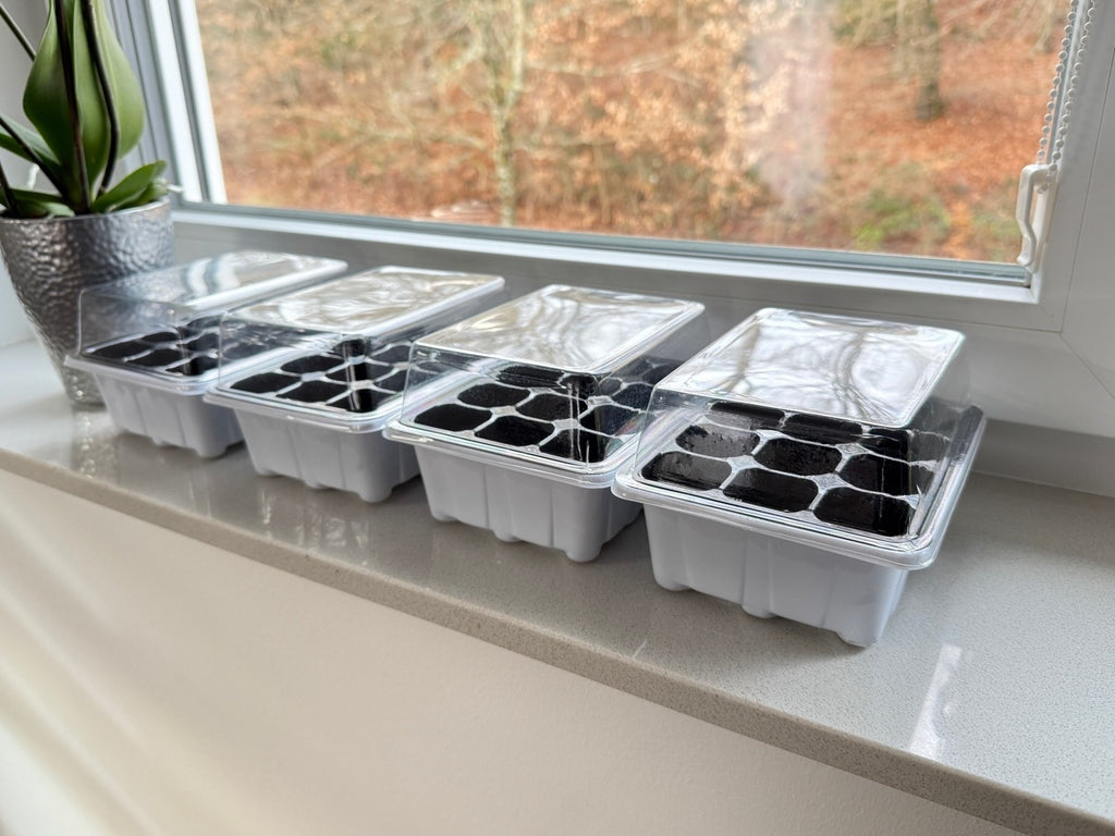 4er Zimmergewächshaus Fensterbank Anzuchtkasten Mini Gewächshaus Pflanzen Indoor
