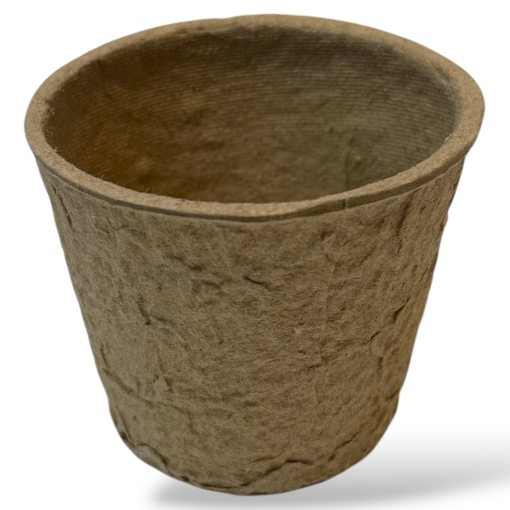 Anzuchttöpfe 6 cm / 8 cm biologisch abbaubar – Saattöpfe für Pflanzen