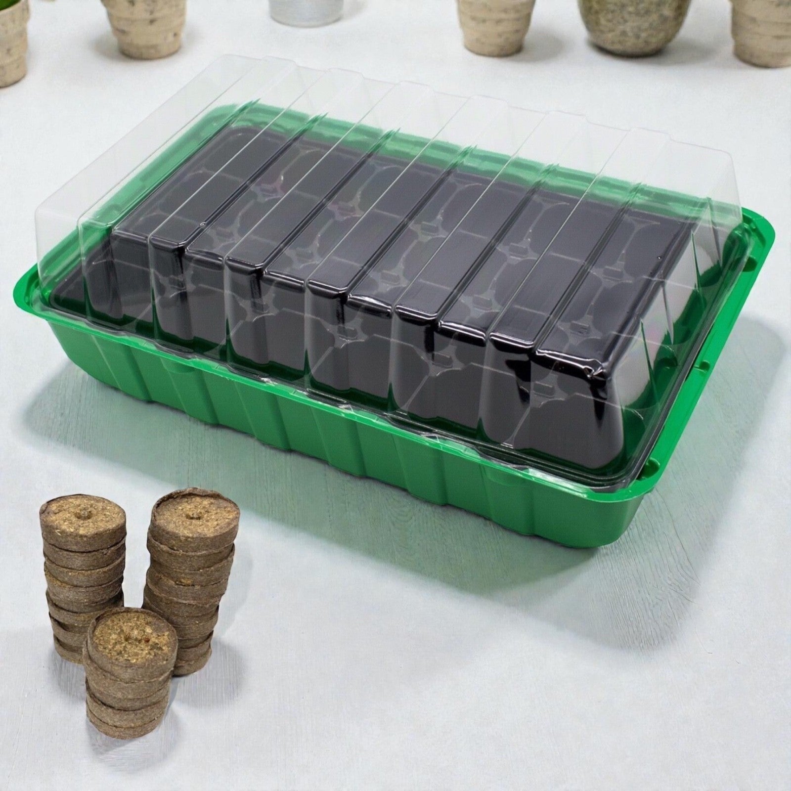 Zimmergewächshaus Anzuchtkasten mit 24 Kokos-Quelltabletten Mini Treibhaus