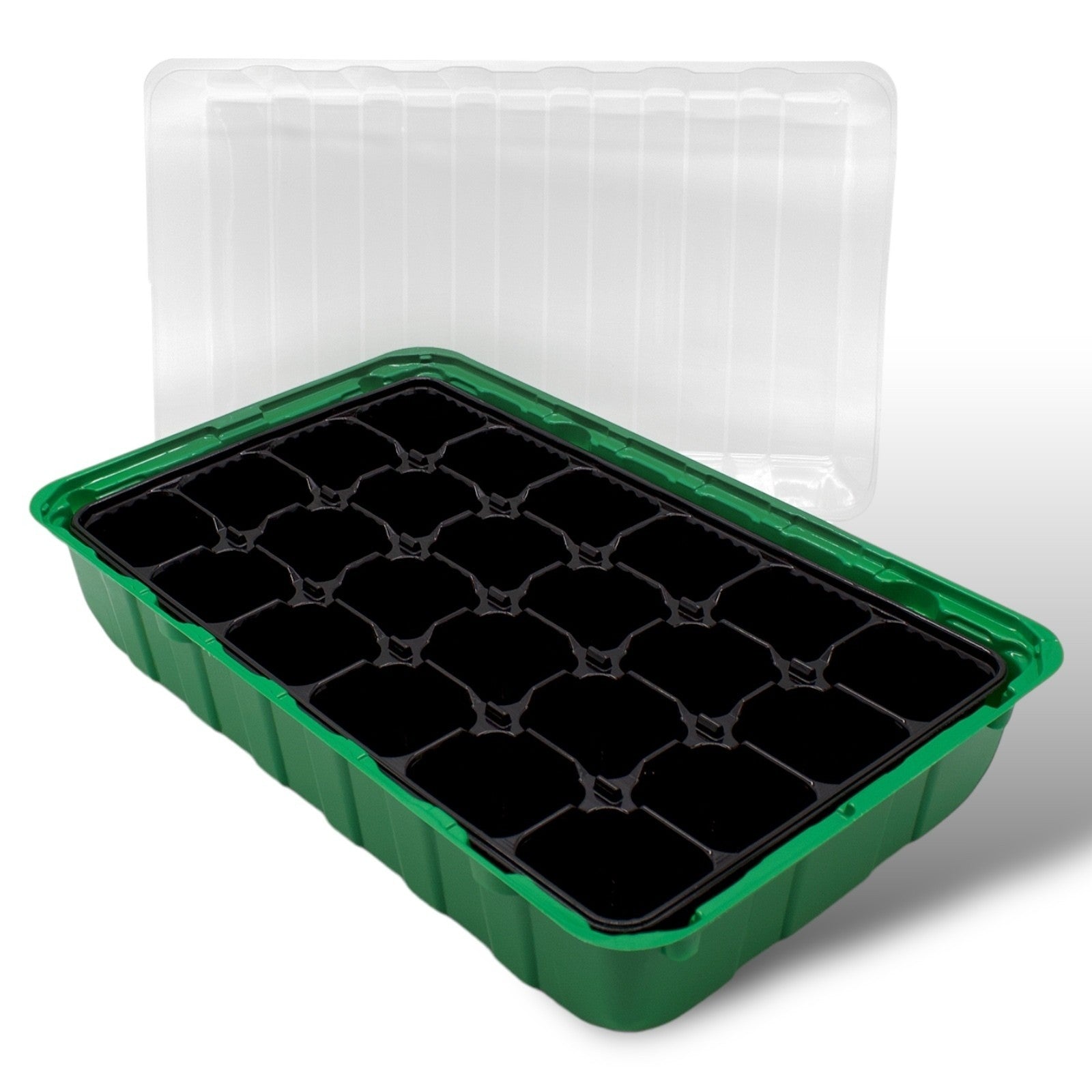 Zimmergewächshaus Anzuchtkasten mit 24 Kokos-Quelltabletten Mini Treibhaus